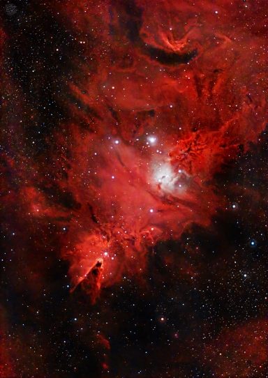NGC 2264 - Konusnebel & Weihnachtsbaumhaufen