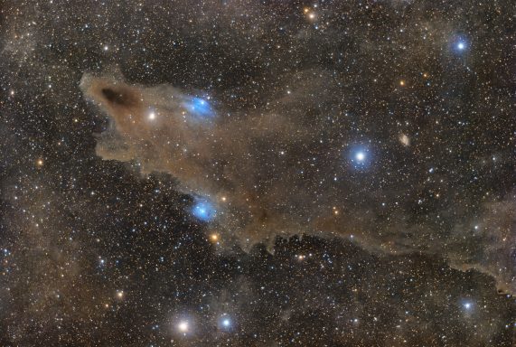 LDN 1235 - Shark Nebula