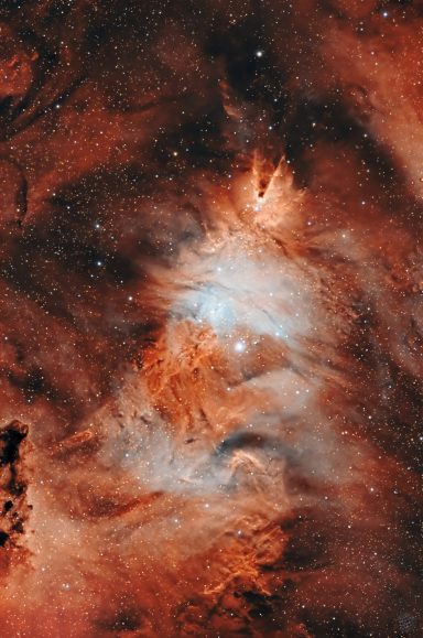NGC 2264 - Weihnachtsbaumhaufen & LDN 1613 - Konusnebel