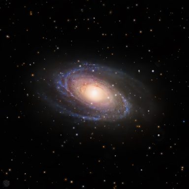 M 81 - Bodenebel