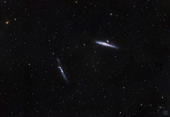 NGG5631 - Walgalaxie, NGC4656 - Hockeyschläger-Galaxie