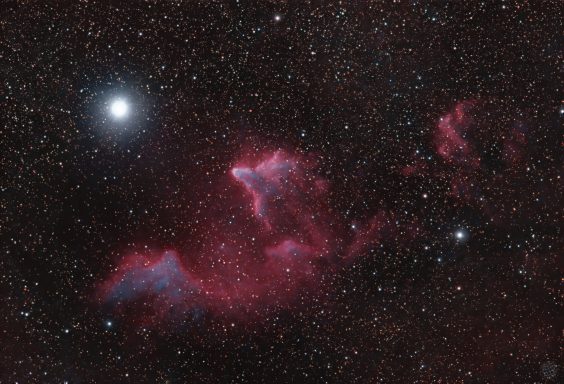 IC 63 - Geist von Kassiopeia / IC 59