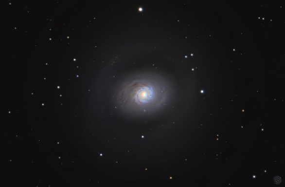 M94